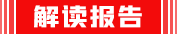 解讀報告