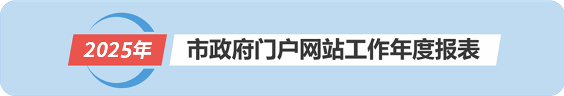 2025年市政府門戶網站工作年度報表