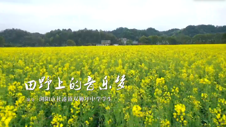 田野上的音樂夢