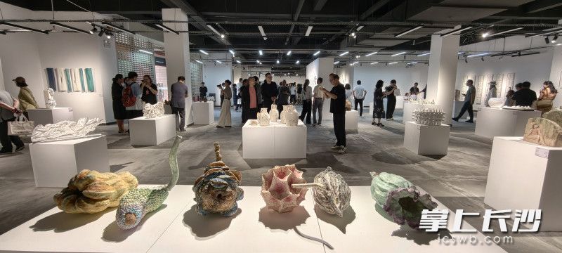 “致敬長沙窯”彩瓷源展開幕，99件佳作亮相銅官窯博物館